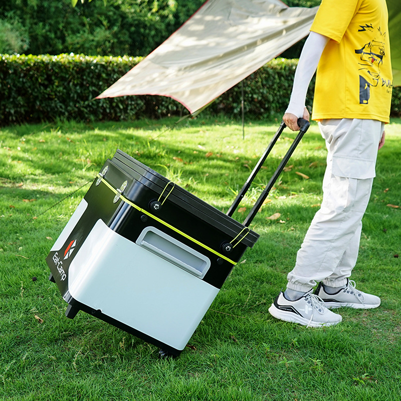 Portable Mobile Camping Kitche - Camping Cooking Box 评论和价格