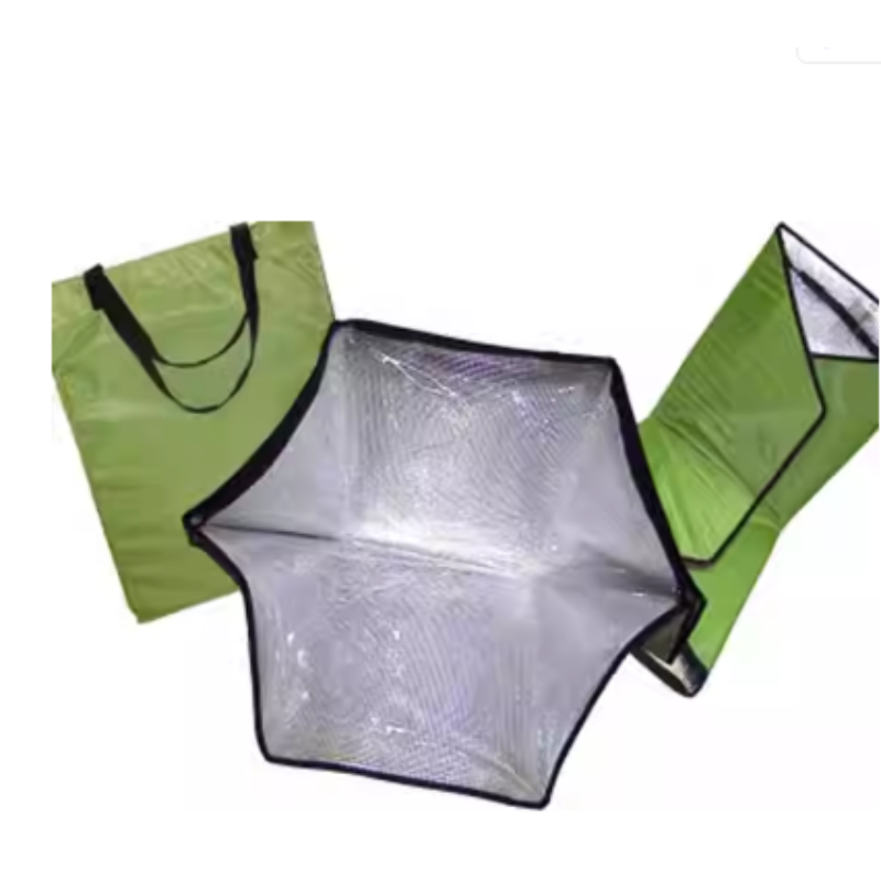Portable Solar Oven Bag Cooker - Solar Oven Camp 评论和价格