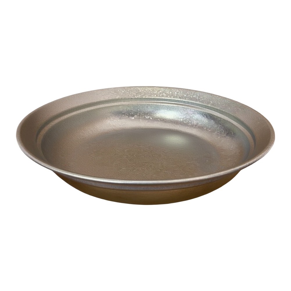 Pure Titanium Plate 20cm Silve - Camping Cooking Noodles 评论和价格