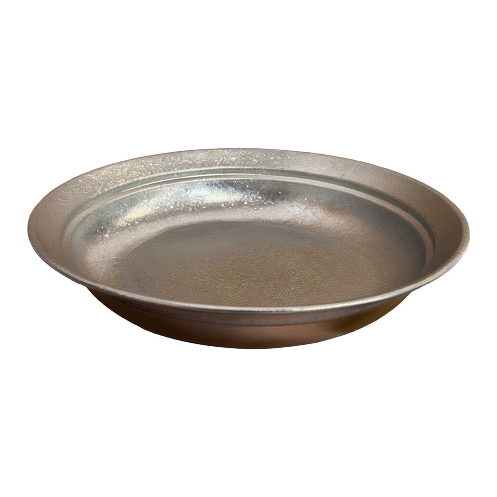 Pure Titanium Plate 20cm Silve - Camping Cooking Noodles 评论和价格